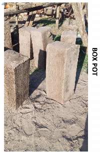 Box Pot