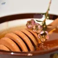 Australian Manuka Honey 30+ MGO to 1500+ MGO