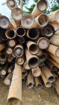 Bamboo Poles