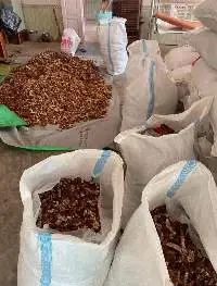 Tamarind