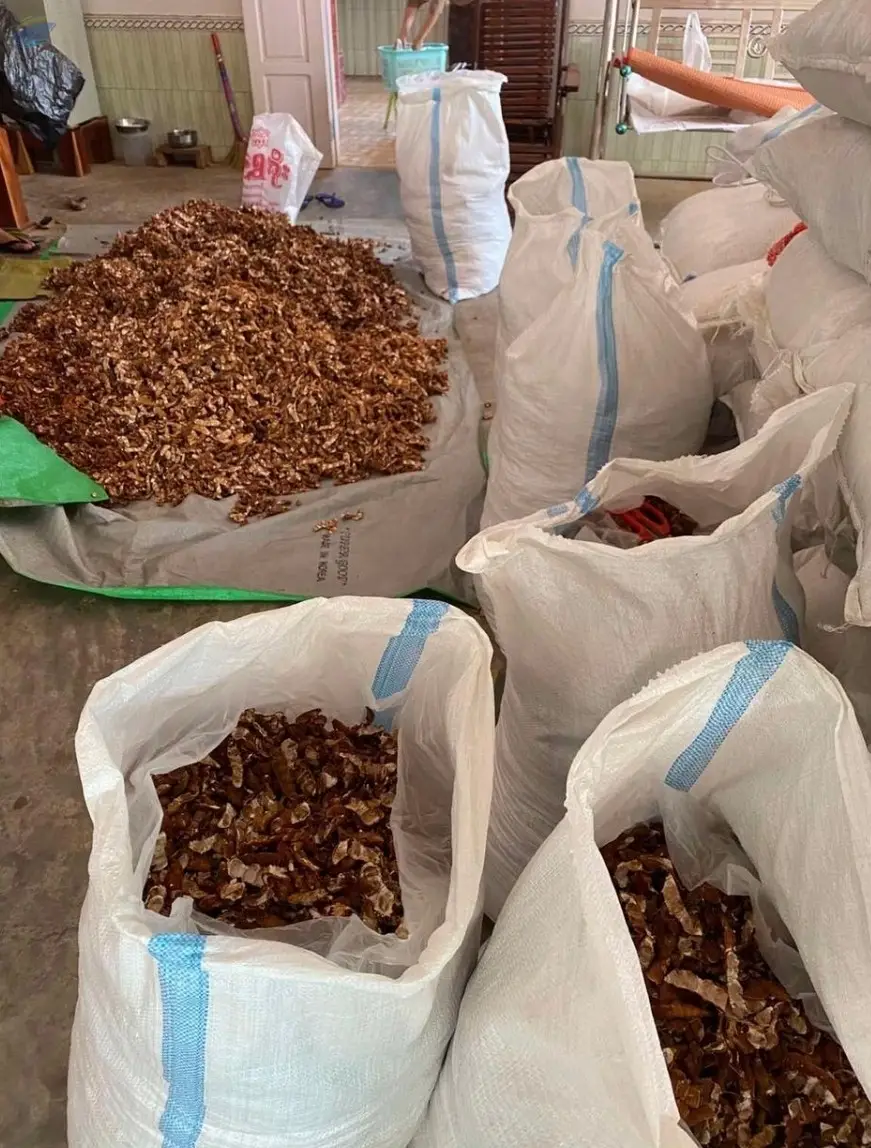 Tamarind