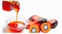 Crude Palm Oil