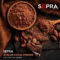 Premium Natural Cocoa Powder Export Grade
