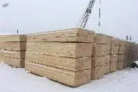 Russian Pine wood