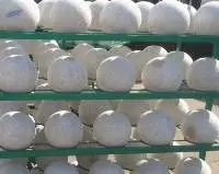 Ball Winding Thread Latex Bladder