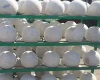 Ball Winding Thread Latex Bladder