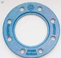 Ductile Cast Iron Backing Flange ( Rings)