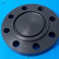 Carbon Steel Flanges