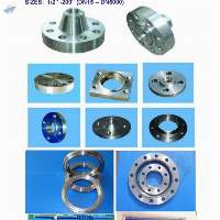 Forged Steel Flanges