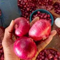 Onion