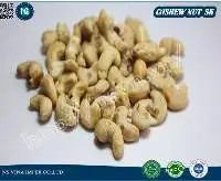 Cashew Nut Sk
