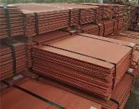 Copper Cathodes