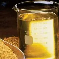 Soya Lecithin