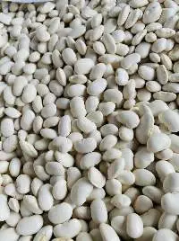 White Beans