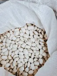 White Beans