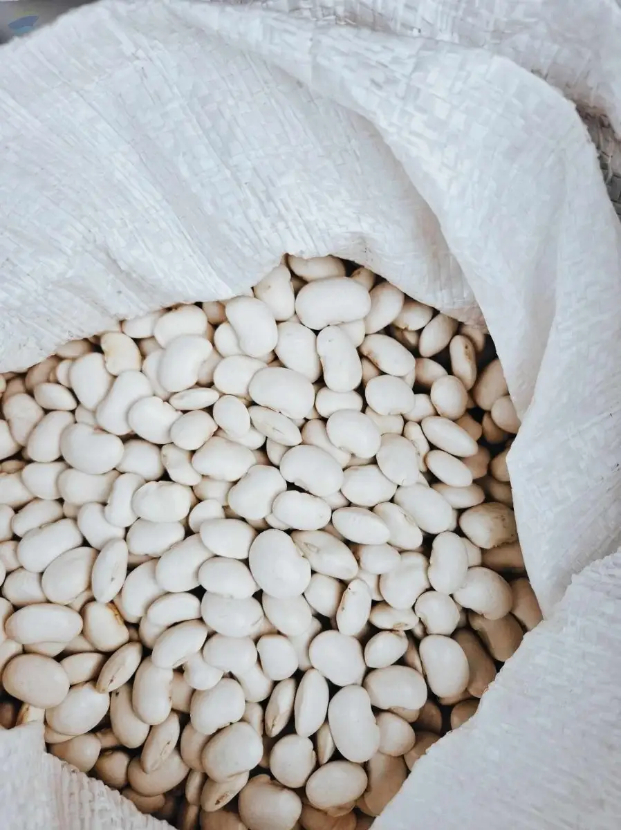White Beans