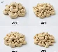 Cashew Kernels