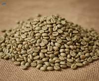 Robusta Green Coffee