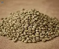 Robusta Green Coffee