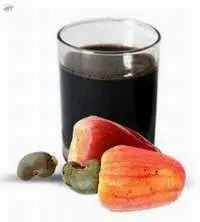 Cashew Nut Shell Liquid