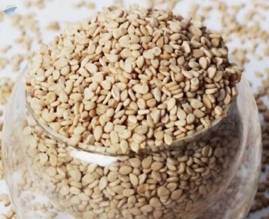 Sesame Seeds