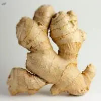 Fresh Ginger