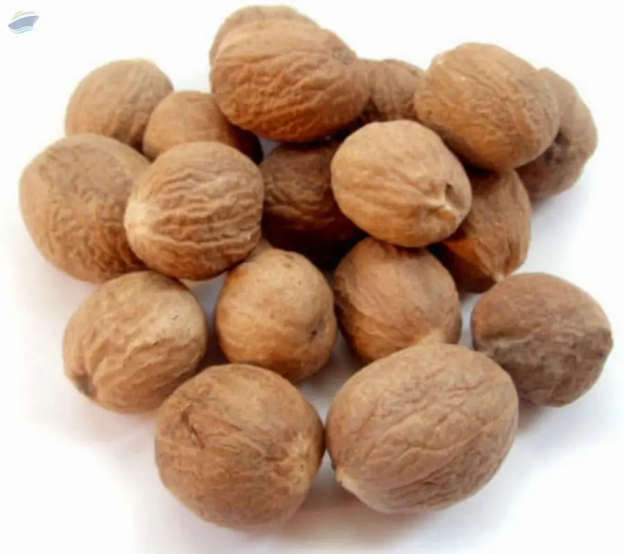 Nutmeg