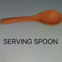 Serving Spoon