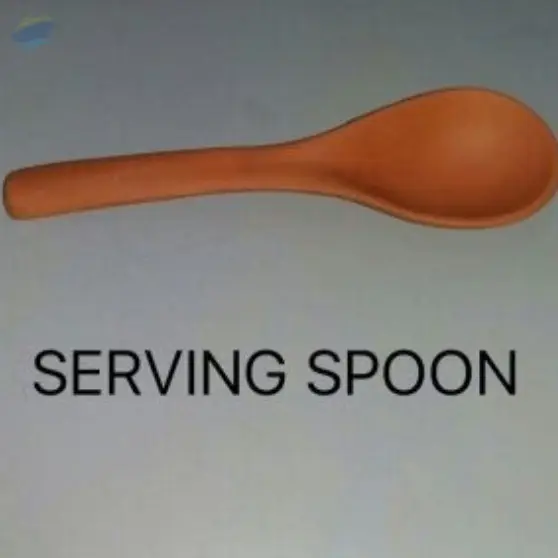 Serving Spoon