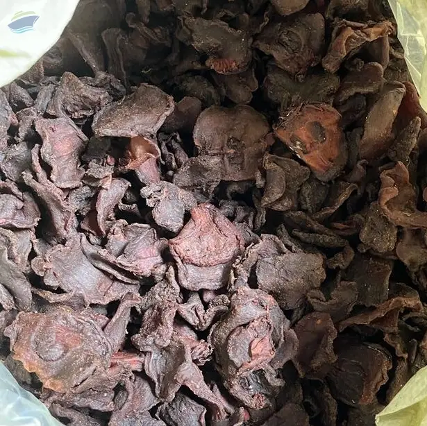 Dried Garcinia Cambogia