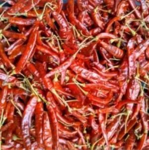Dry Red Chilli