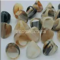 Horn Rings