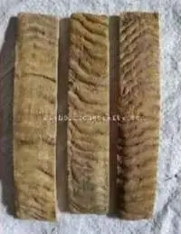 Ram Horn Scales