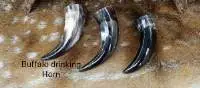 Buffalo Drinking Horn