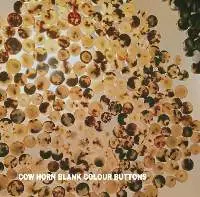 Cow Horn Button Blanks