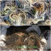 Cattle Tail Hair