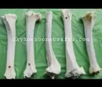 Water Buffalo Rib Bone Natural Dog Chew