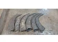 Water Buffalo Horn