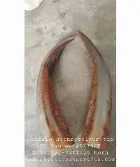 Buffalo Horn Color Tip