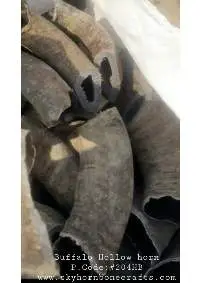 Buffalo Hollow Horns
