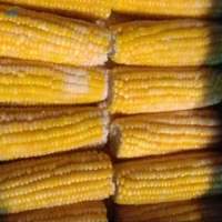 Sweet Corn Candy