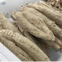 Tuna (Pre Cooked)