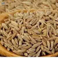 Cumin