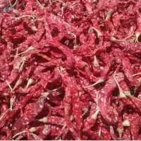 Red Chilli (Byadgi)