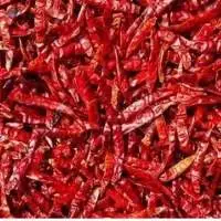 Red Chilli (Teja)