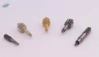 Pinion Family