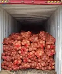 Semi Husk Mature Coconut
