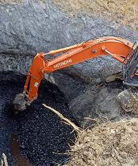 Bituminous Coal