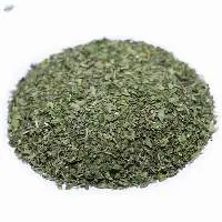 Spearmint