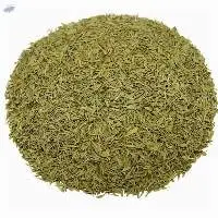 Thyme